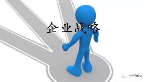 椴树，欧洲小叶椴，金桐力