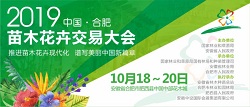 抬头园林受邀参加“2019中国·合肥苗木花卉交易大会”