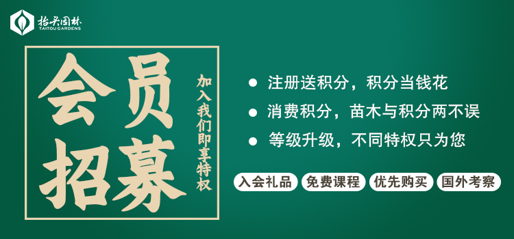 欢迎来撩 | 抬头园林微商城上线，赶紧注册送50000积分！