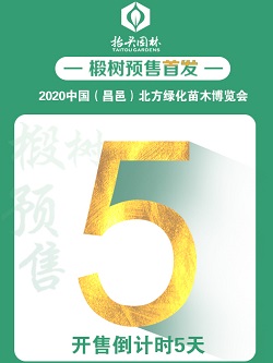 2020年9月21日，抬头园林将在昌邑绿博会上发售缤纷秋色（太平洋晚霞）